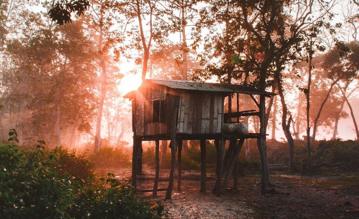 chitwan nepal, Chitwan national park in nepal, narayangarh chitwan nepal,